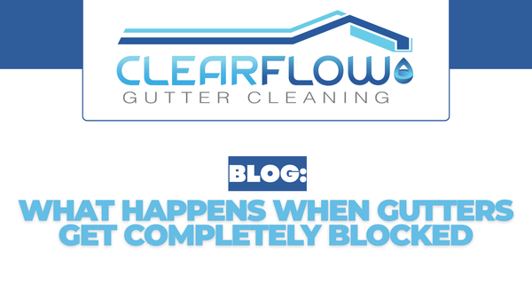 What Happens When Gutters Get Completely Blocked